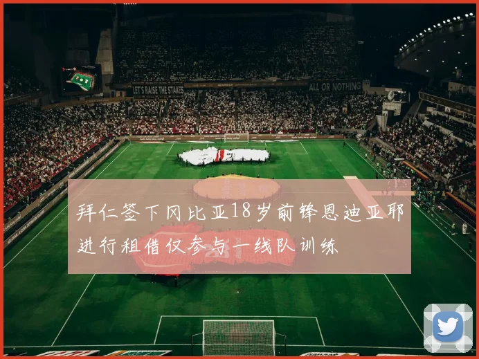 拜仁签下冈比亚18岁前锋恩迪亚耶进行租借仅参与一线队训练