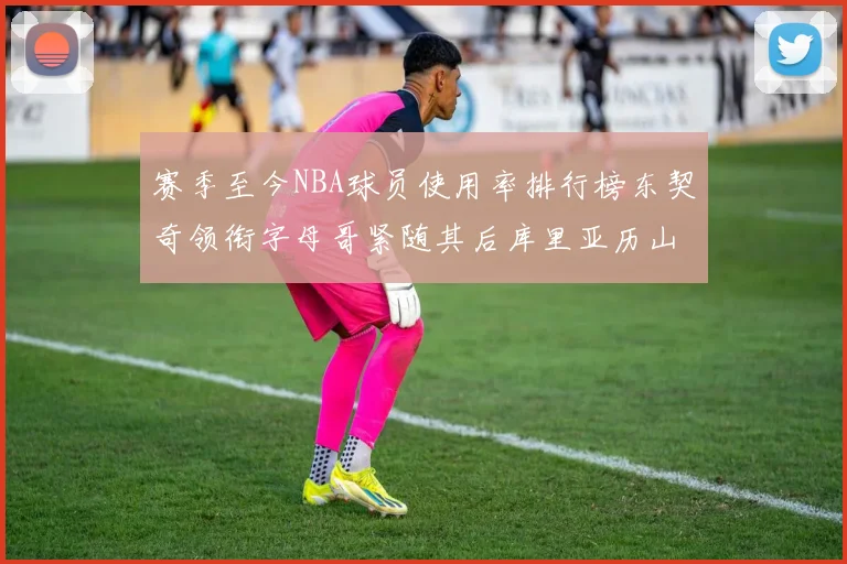赛季至今NBA球员使用率排行榜东契奇领衔字母哥紧随其后库里亚历山大表现抢眼