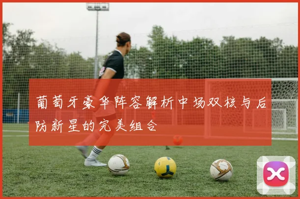 葡萄牙豪华阵容解析中场双核与后防新星的完美组合