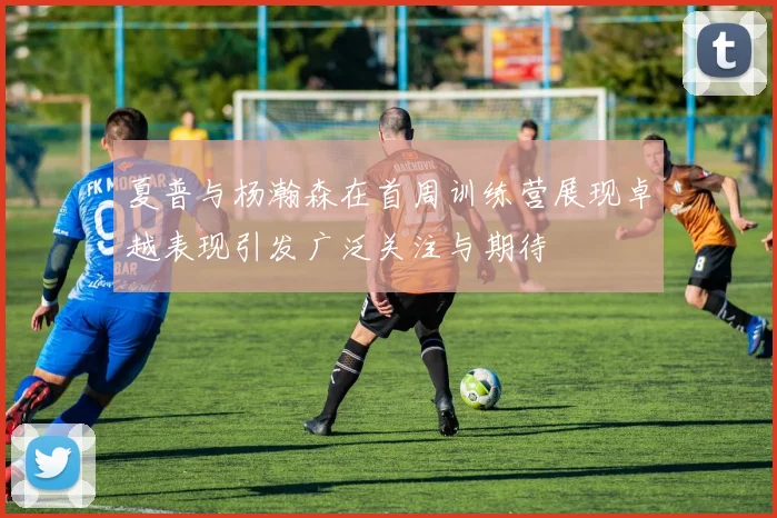 夏普与杨瀚森在首周训练营展现卓越表现引发广泛关注与期待